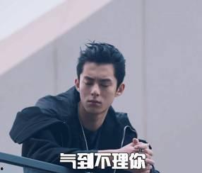 娱乐吃瓜王鹤棣,从“娱乐吃瓜王”到当红小生的华丽蜕变